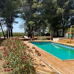Mas La Pinede - Domaine Le Caylus *