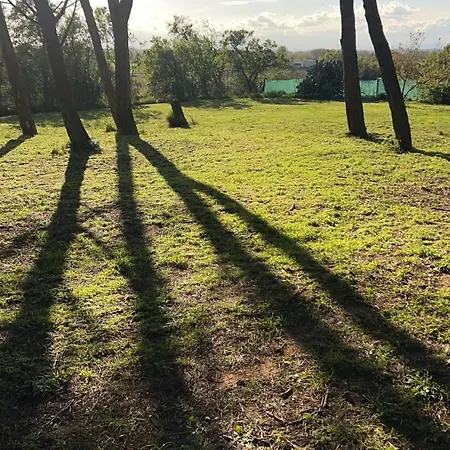 Mas La Pinede - Piscine Privee - 1 Hectares Sans Vis A Vis Сasa de vacaciones
