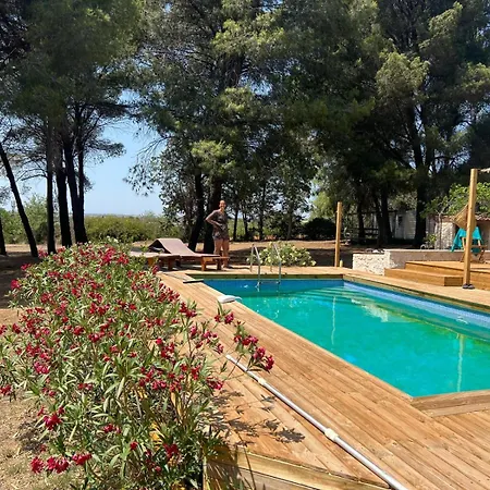 Mas La Pinede - Domaine Le Caylus *