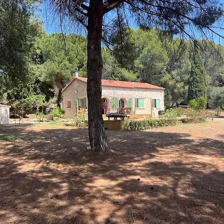 Mas La Pinede - Domaine Le Caylus