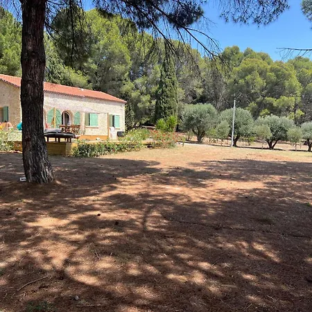 Mas La Pinede - Domaine Le Caylus *