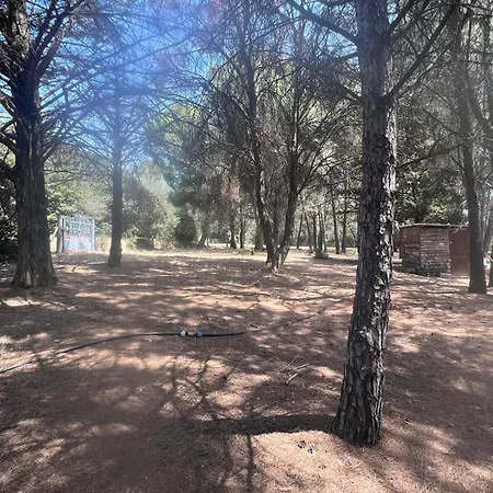 Mas La Pinede - Piscine Privee - 1 Hectares Sans Vis A Vis Сasa de vacaciones