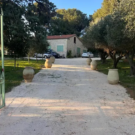 Mas La Pinede - Domaine Le Caylus Vakantiehuis