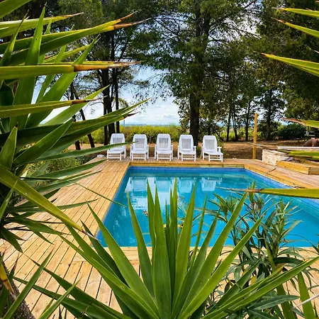 Mas La Pinede - Piscine Privee - 1 Hectares Sans Vis A Vis